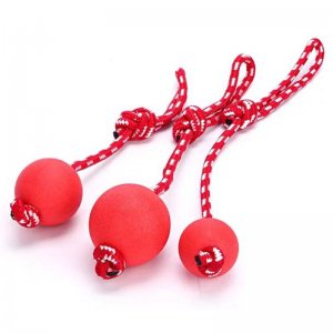 狗狗玩具球可OEM/ODM代工