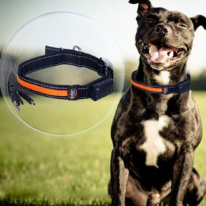 USB充電閃光圈寵物用品OEM/ODM代加工