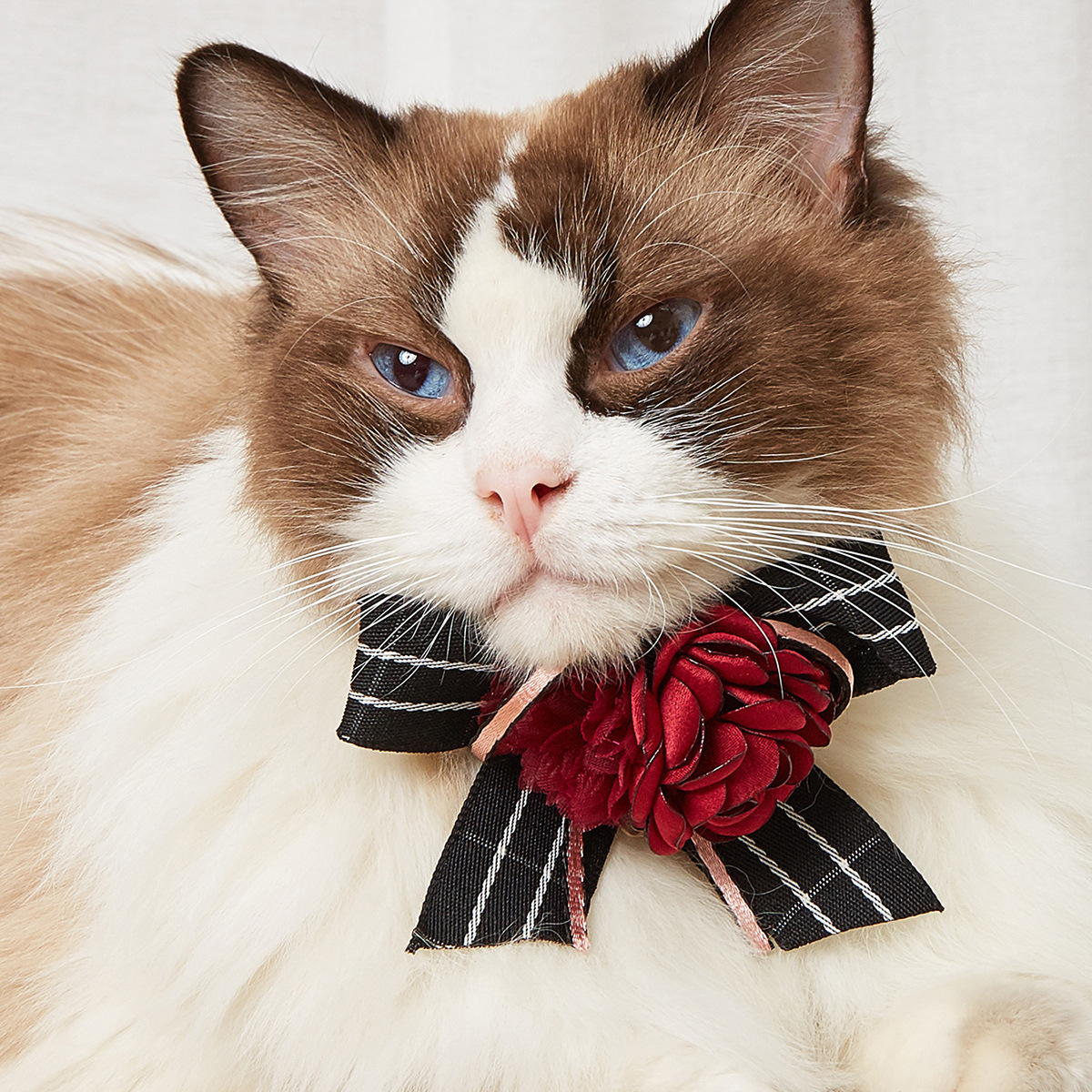 寵物飾品項(xiàng)圈項(xiàng)鏈裝飾貼牌OEM/ODM