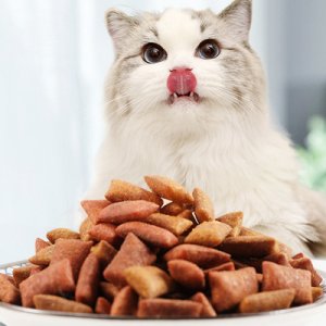 上海亨達(dá)寵物用品有限公司