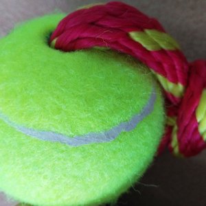 狗狗訓(xùn)練橡膠球網(wǎng)球貼牌OEM/ODM