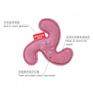 耐咬潔齒磨牙貼牌定制代加工