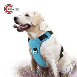 防水反光寵物胸背帶k9 防爆沖透氣網(wǎng)格狗狗胸背帶OEM代加工