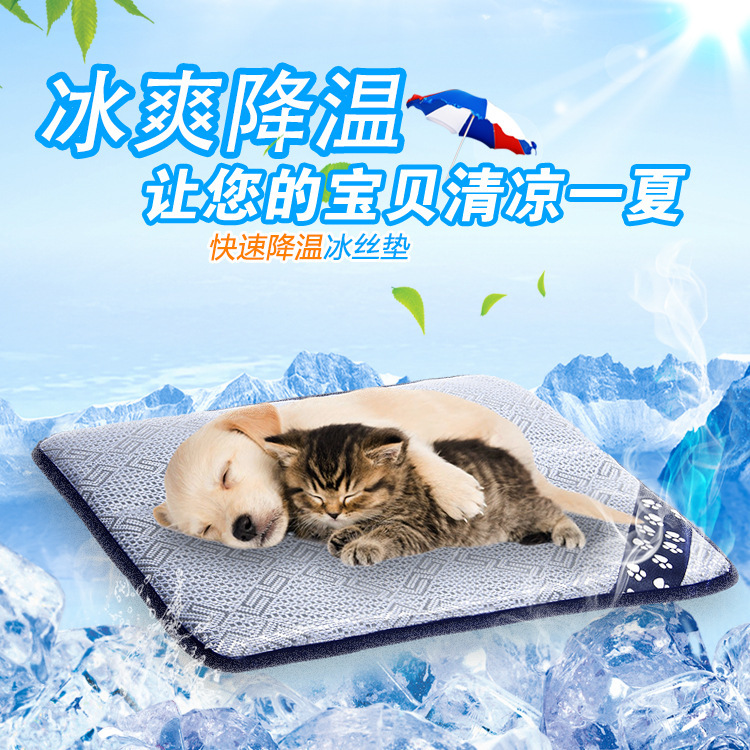 東莞源思寵物用品有限公司