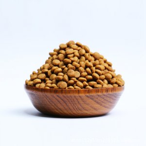 臨沂漢馬寵物食品有限公司