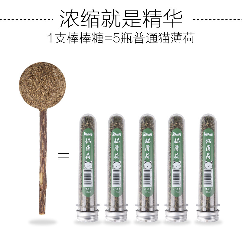 森森集團(tuán)股份有限公司