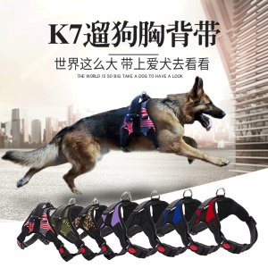 寵物牽引繩狗鏈子OEM/ODM代加工