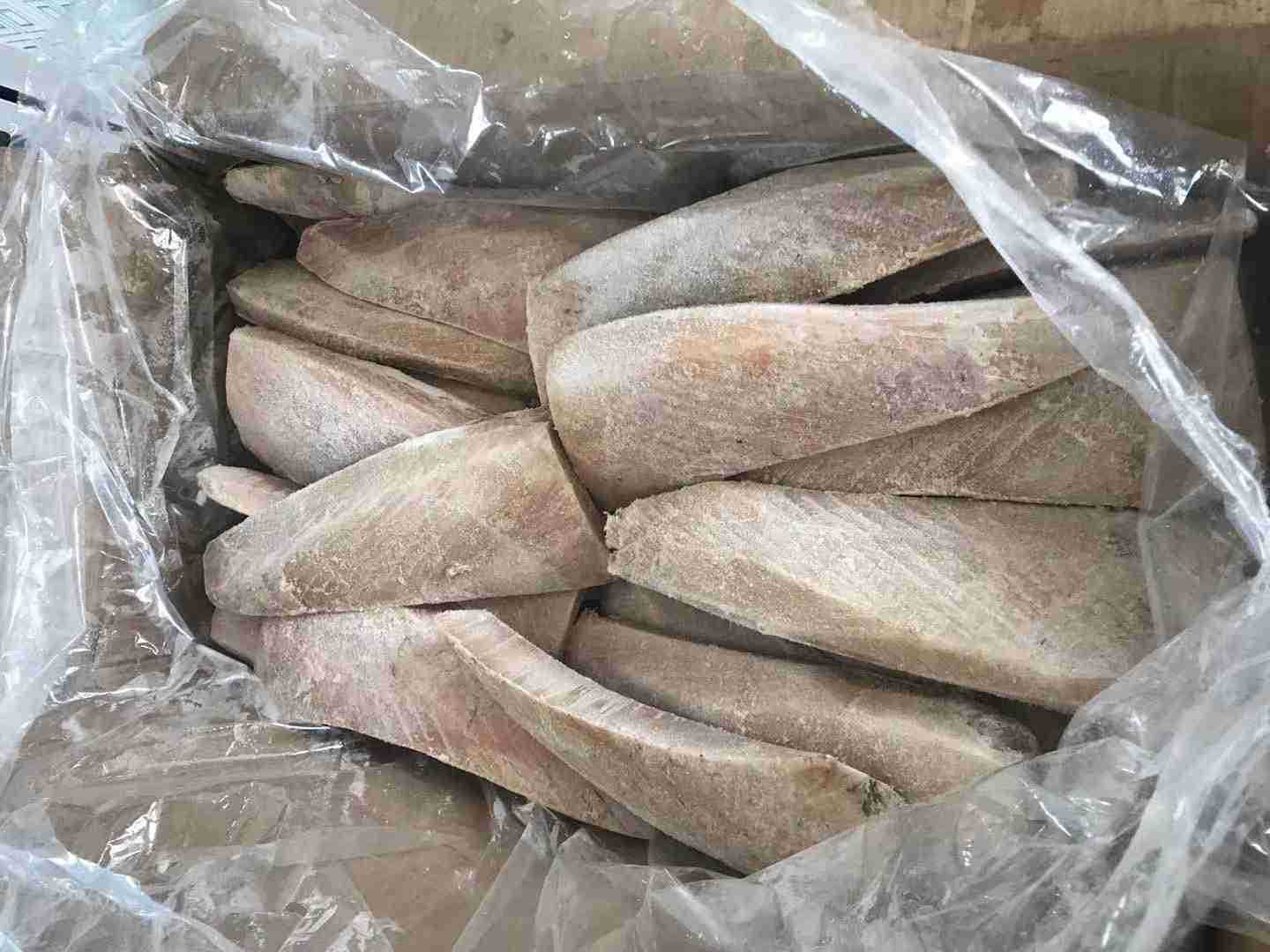 山東卡麥奇寵物食品有限公司