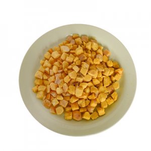 濰坊迪樂寵物用品有限公司