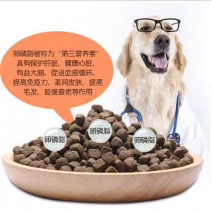 永康市呈旺寵物用品有限公司