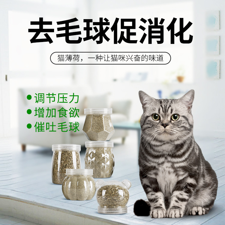 宿遷市貓女王寵物用品有限責(zé)任公司
