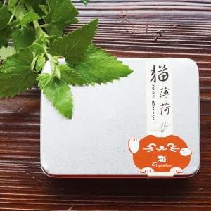 宣城市愛一芳香植物有限公司