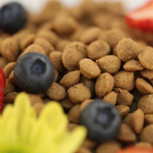 濰坊弘嘉寵物食品有限公司