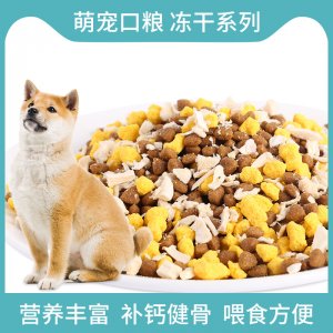 山東萊德寵物用品有限公司