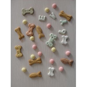 煙臺(tái)麥瑞寵物食品有限公司