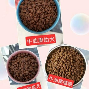 愛e牛油幼犬成犬10kg