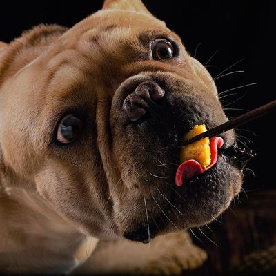 溫州首上貿(mào)易有限公司