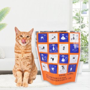 網(wǎng)紅貓?zhí)?>
									<div   id=