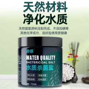 水質(zhì)殺菌鹽750g