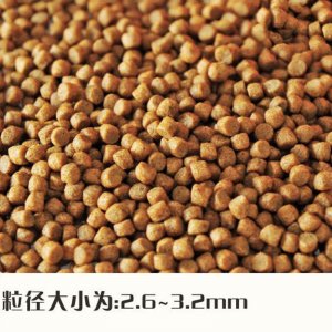 海豚血鸚鵡魚糧1000克