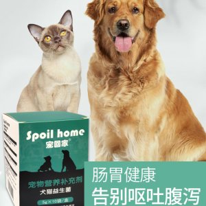 狗狗貓咪益生菌