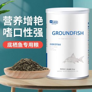 山東美意水族用品有限公司