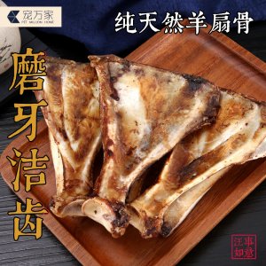 平陽縣恒煒寵物營養(yǎng)科技有限公司