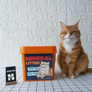 艾米麗低塵礦物貓砂7kg