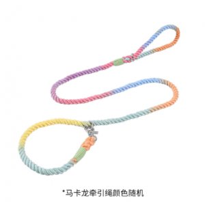 中山市樂迪寵物用品科技開發(fā)有限公司