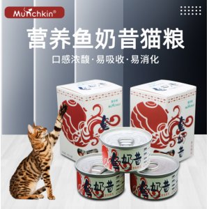 曼赤肯泌乳期母貓魚奶昔