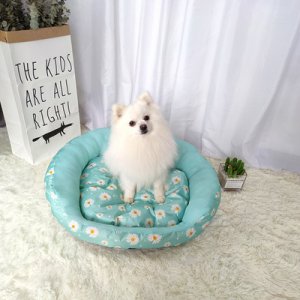 河南省金寵冠寵物用品有限公司