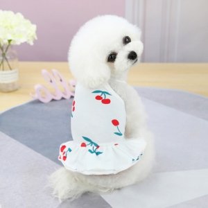 狗衣服寵物服飾泰迪裙子