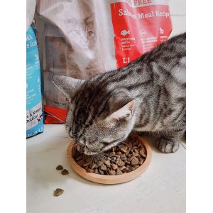 荊州市德楊寵物用品有限公司