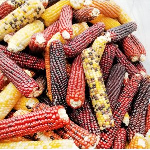 曲阜市傲藝酷品進(jìn)出口有限公司