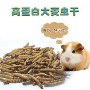 湖南省螯洲農(nóng)業(yè)科技有限公司