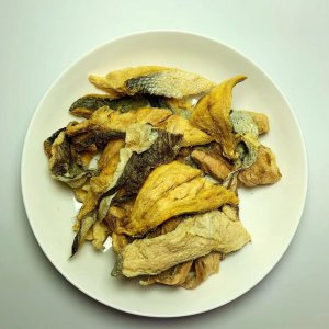 濰坊米多多寵物用品有限公司