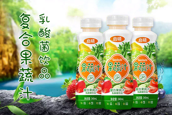 啟碩復(fù)合果蔬汁乳酸菌飲品.jpg