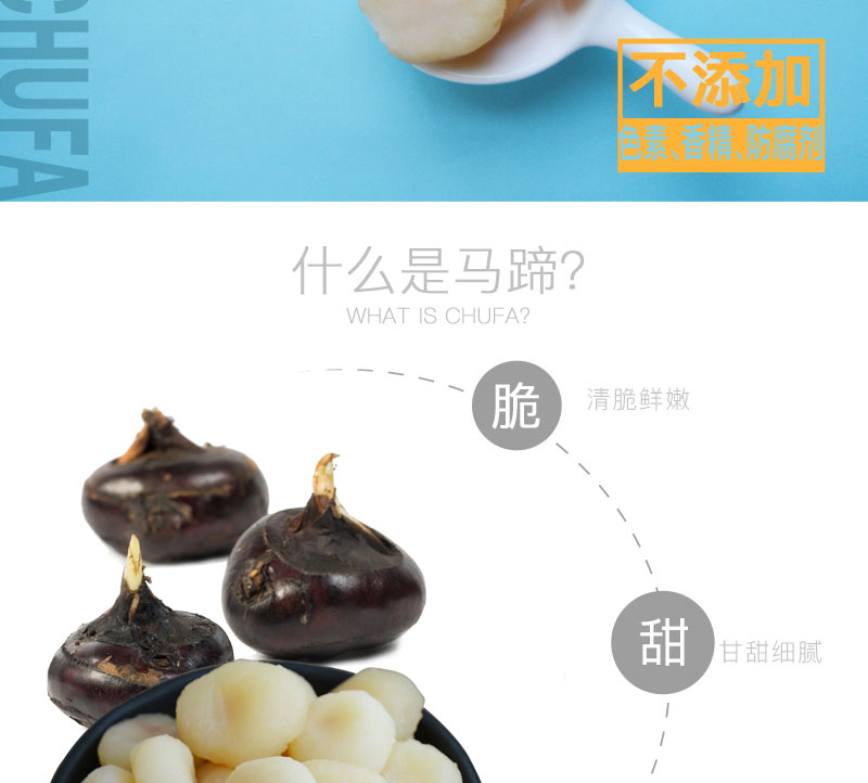 栗源冰糖脆馬蹄簡介_02.jpg