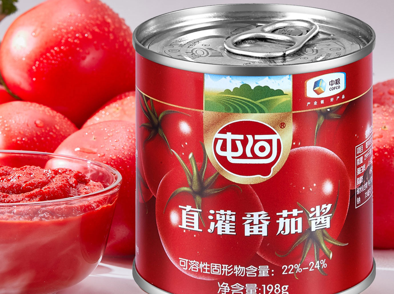 直灌番茄醬198g簡介_02.jpg