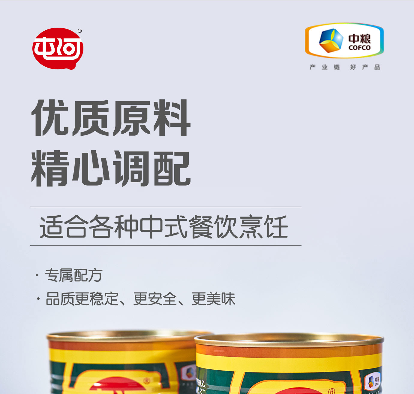 番茄調(diào)味醬1kg簡(jiǎn)介_01.jpg