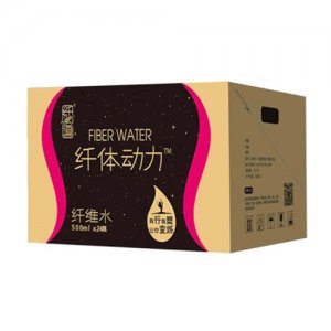 纖維道纖體動力纖維水500mlx24瓶
