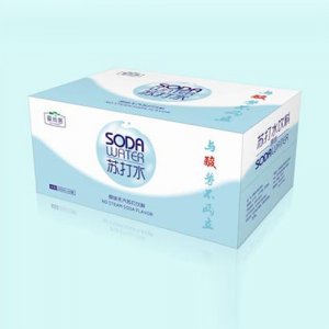 愛尚客原味蘇打水飲料350mlx24瓶