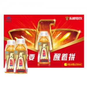 東鵬特飲維生素運動功能性飲料250MLx24
