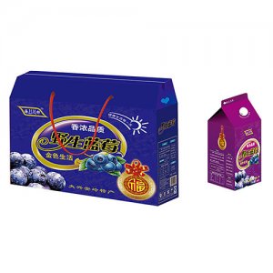 海樺野生藍(lán)莓飲料