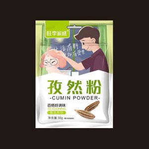 旺李家盛孜然粉30g