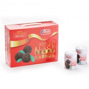 科技糖水黑酶罐頭256g