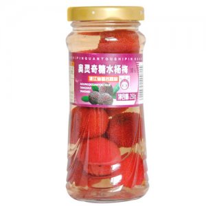 奧靈奇糖水楊梅罐頭250g