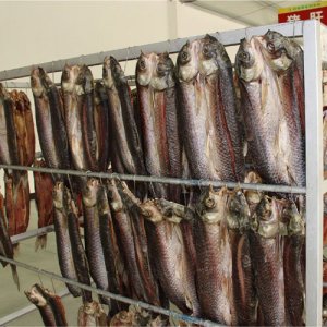 彭老哥臘魚(yú)