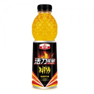 嘉力多活力能量功能飲料600ml