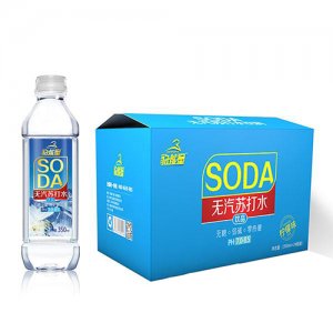 豹能量無(wú)汽蘇打水檸檬味350mlx24瓶